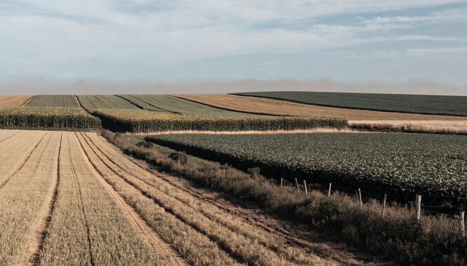 A broad arable landscape of maize, soybean and cereal fields meeting at their margins to the horizon.