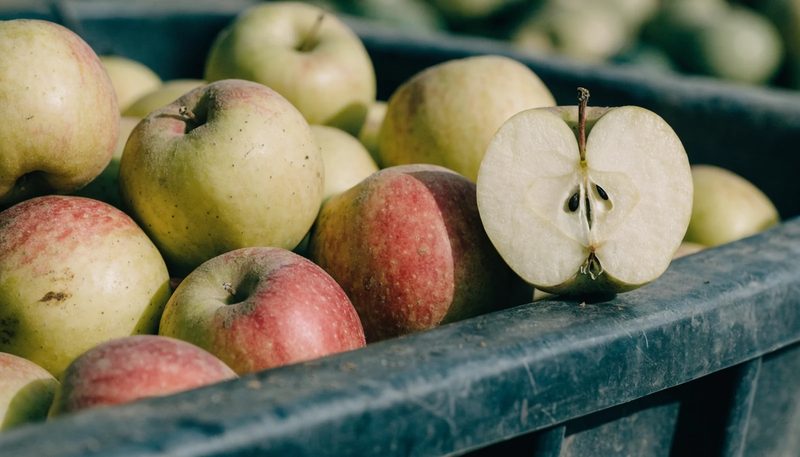 Firm apples in a harvest bin with one halved to show dense flesh.