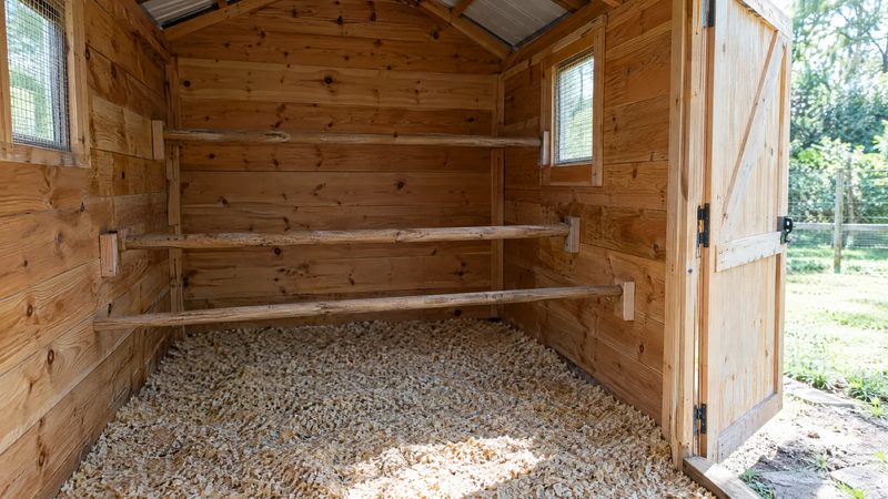Freshly washed, empty chicken coop with bare roosts drying in sunlight from an open door.