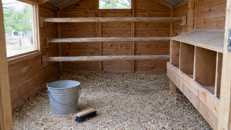 Empty, freshly scrubbed wooden chicken coop with bare roosts and nest boxes and a scrub brush on the floor.