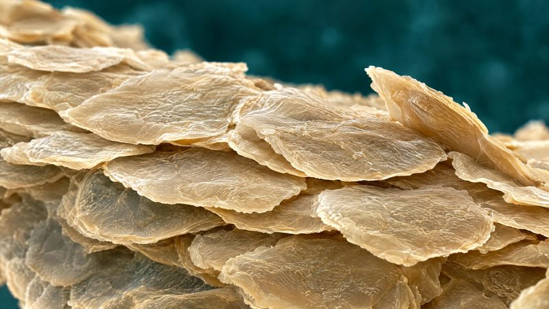 Micrograph-style texture of overlapping flat skin cells in warm ivory on a deep teal background, a few edges slightly lifted.